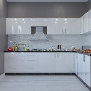 Modern L-shaped Kitchen Interior